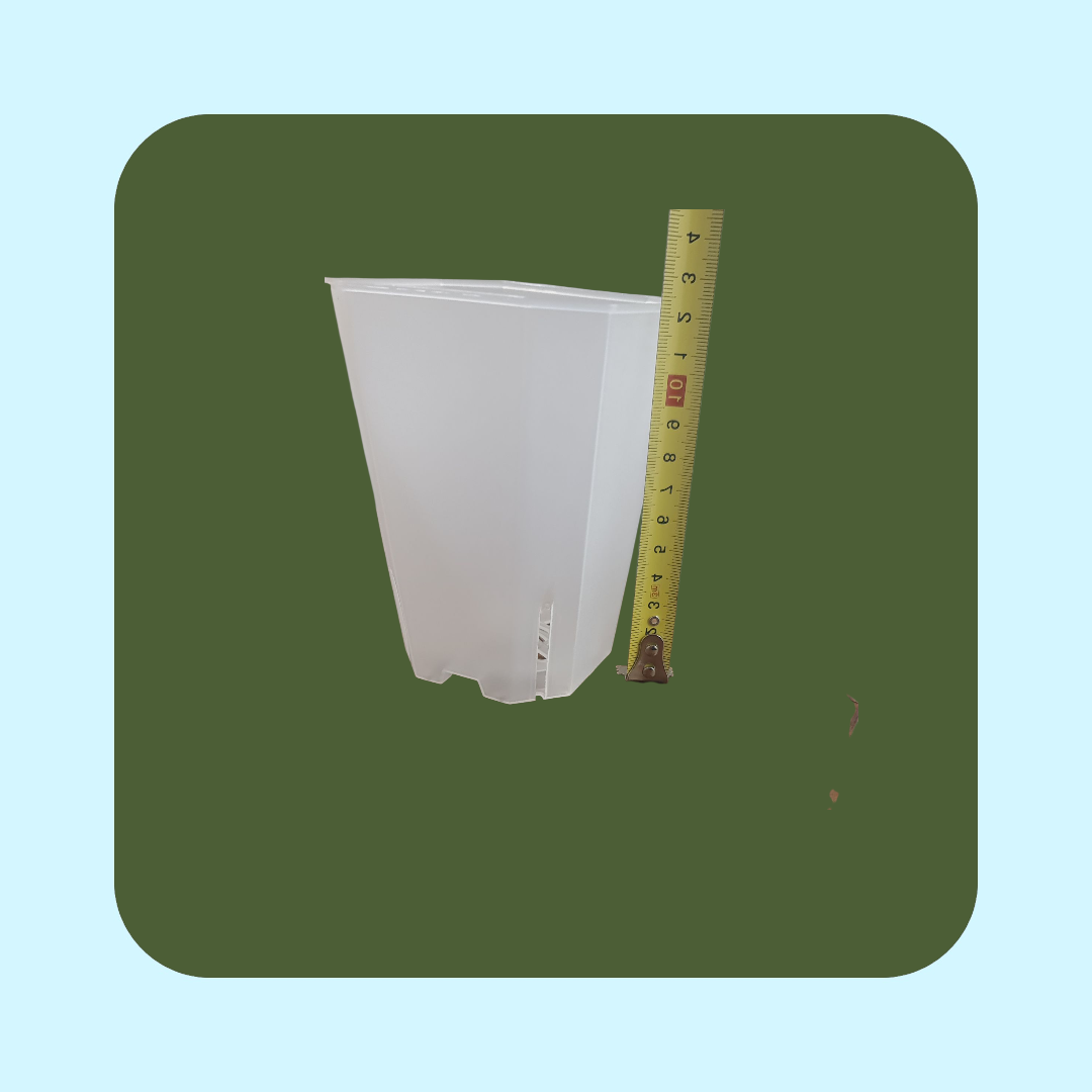 Transparent Kruka - 10x12 cm